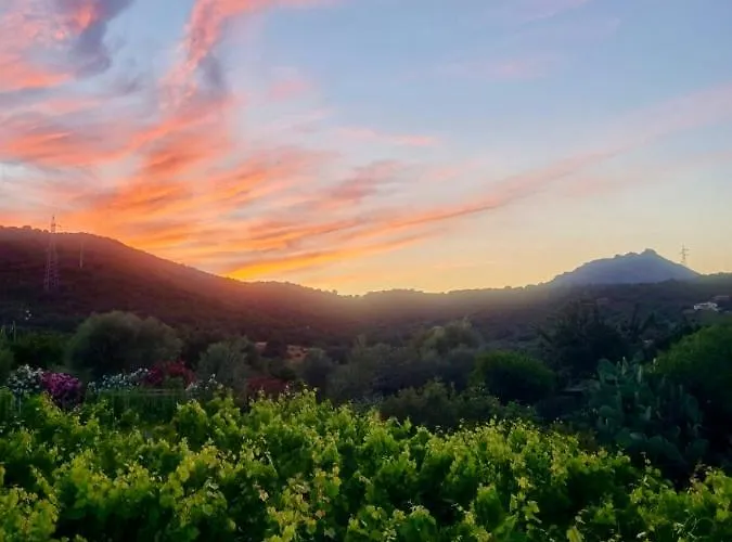 Tenute Murales Srls מלון 2*