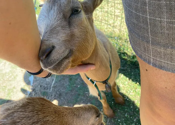 Tenute Murales Srls מלון 2*