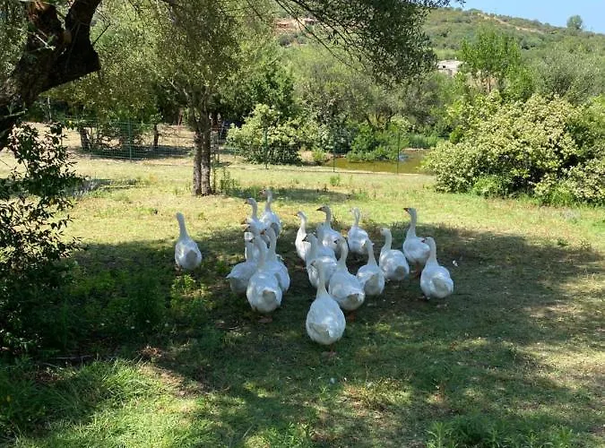 מלון Tenute Murales Srls 2*